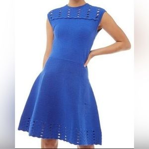 Ted Baker Zaralie Jacquard Panel Skater Dress Royal